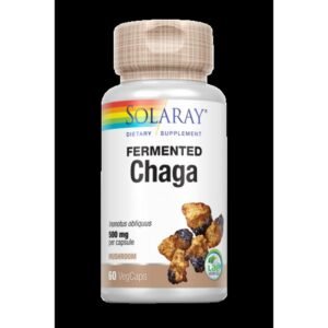 Chaga Fermentado · Solaray · 60 cápsulas