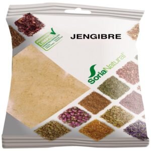 Jengibre en Bolsa · Soria Natural · 75 gramos