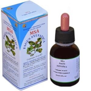 MSA Fagus Sylvatica · Herboplanet · 50 ml