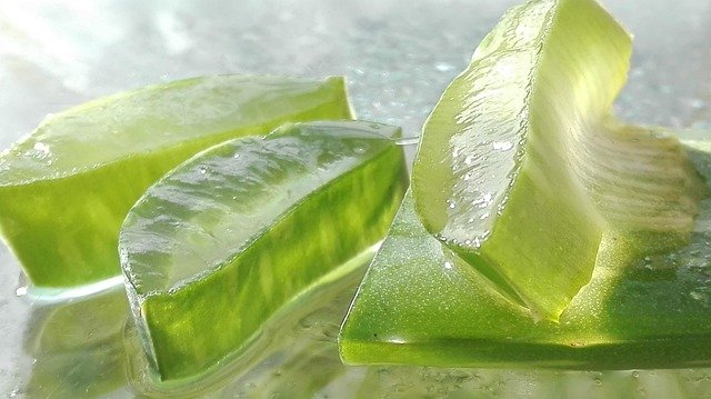 Beneficios y Usos de Aloe Vera