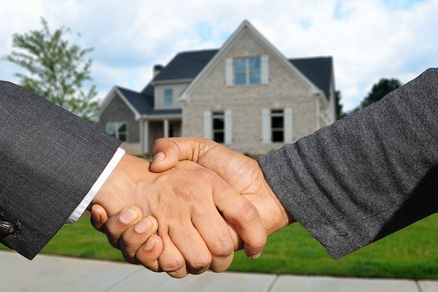 Comprar maca en el herbolario: tipos, diferencias y guí