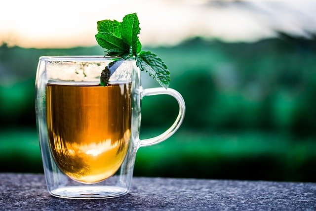 Menta vs Hierbabuena: Descubre sus Diferencias y Benefi